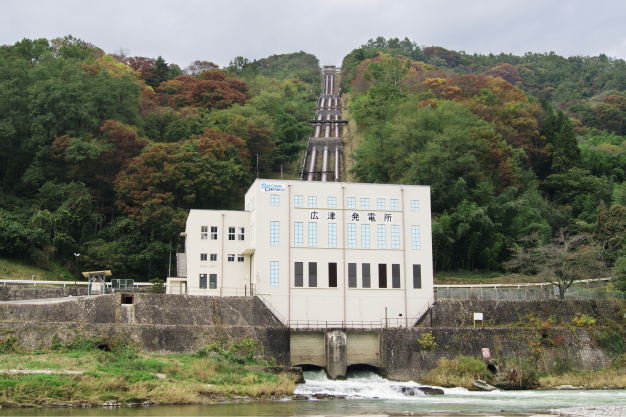 サンプル画像